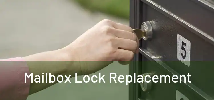  Mailbox Lock Replacement 